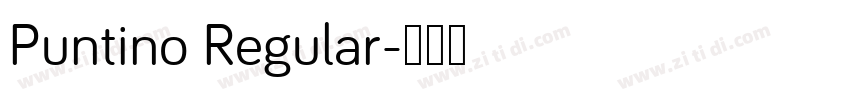 Puntino Regular字体转换